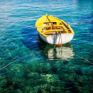 Memories, Musings and More