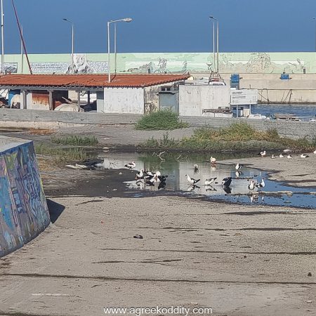 Agios Efstratios 2023