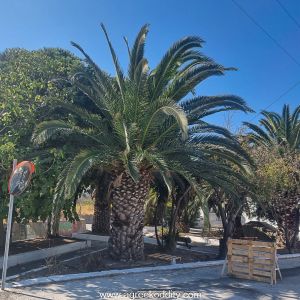 Agios Efstratios 2023