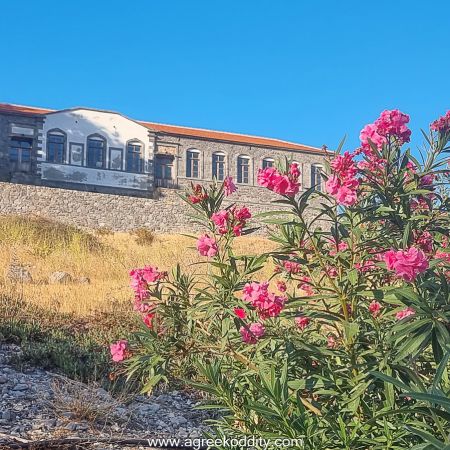 Agios Efstratios 2023