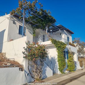 Agios Efstratios 2023