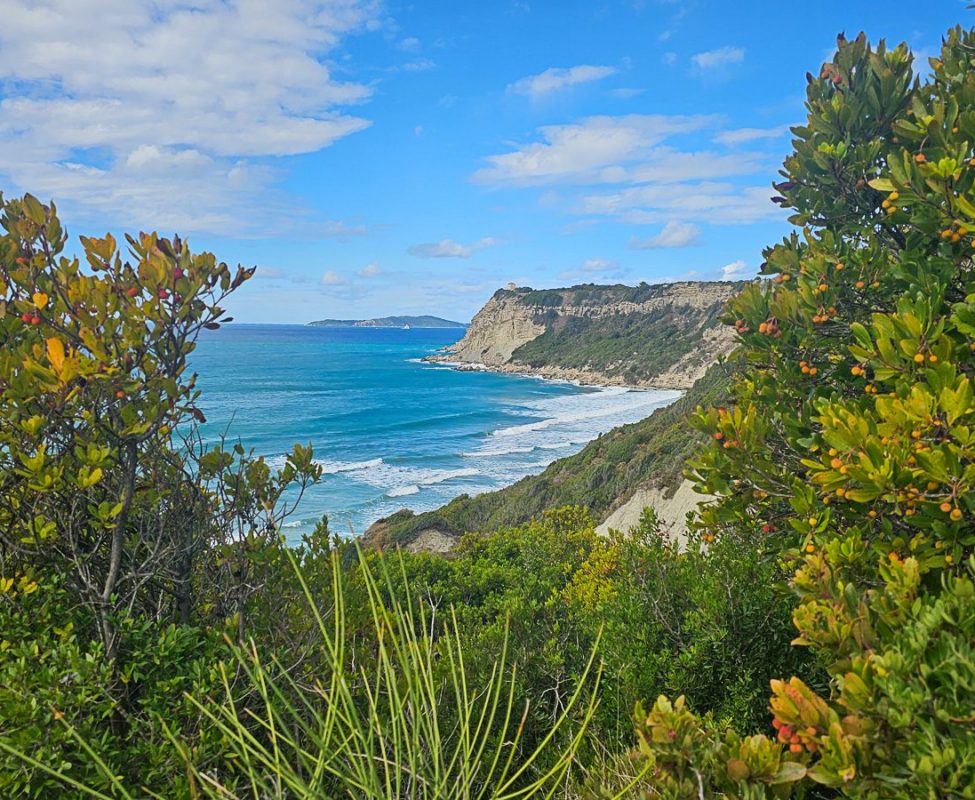 Agios Stefanos Avliotes
