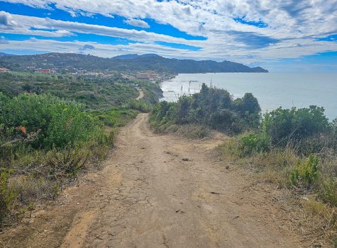 Agios Stefanos Avliotes