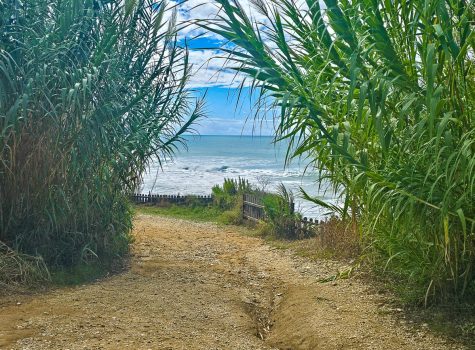 Agios Stefanos Avliotes