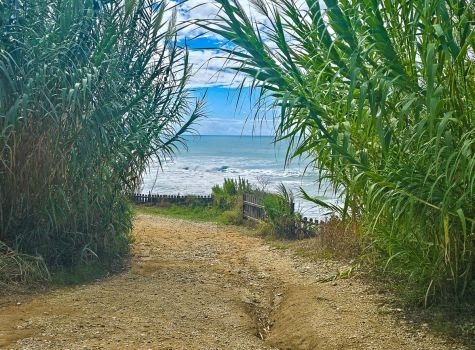 Agios Stefanos Avliotes