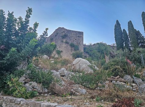 Agios Stefanos Avliotes