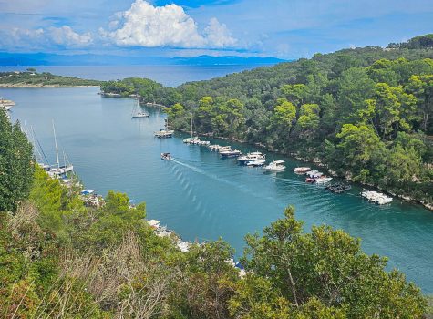 Paxos