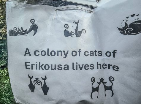 Erikousa