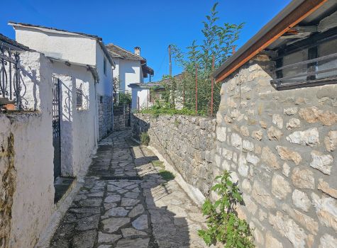 The Island, Ioannina