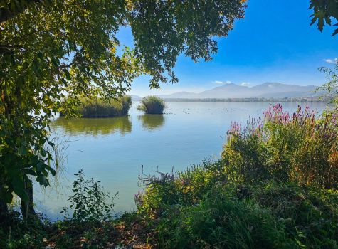 The Island, Ioannina