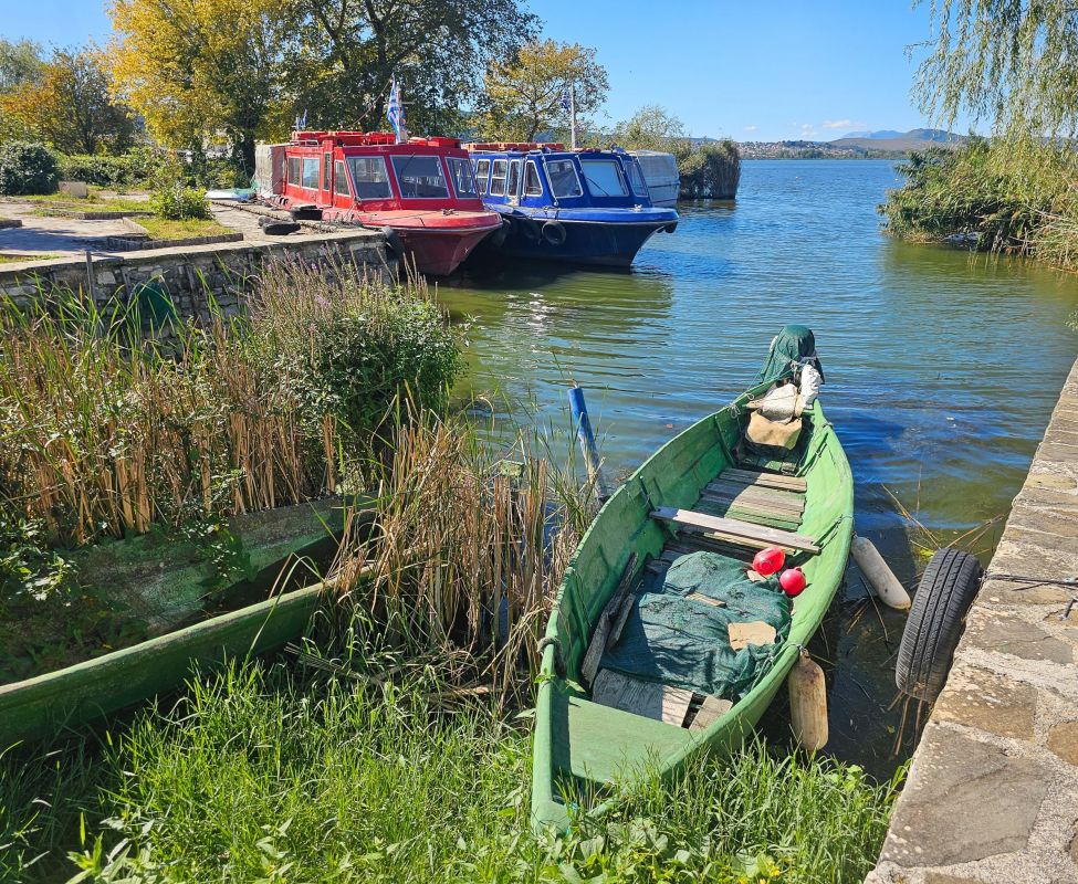 The Island, Ioannina
