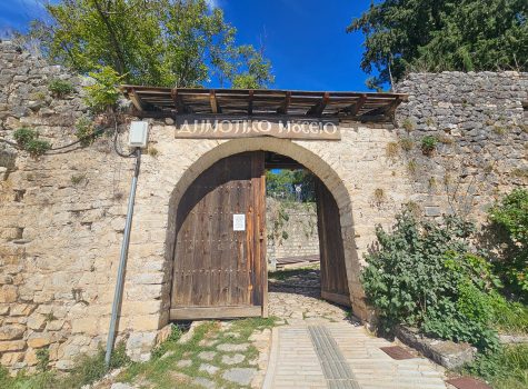 Entrance Aslan Pasha Mosque