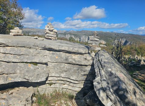 Stone Forest