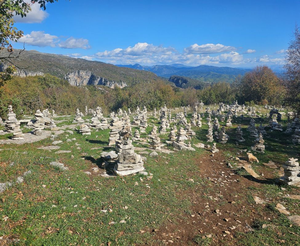 Stone Forest