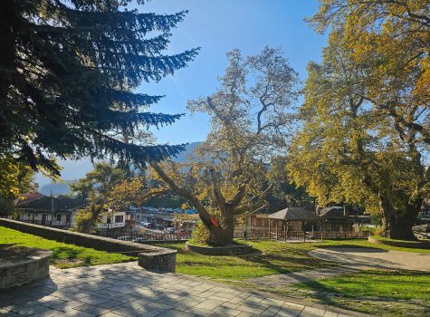 Church of Agia Paraskevi