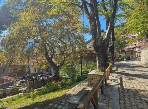 Metsovo