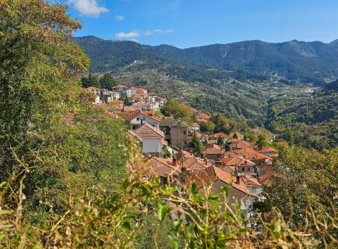 Metsovo