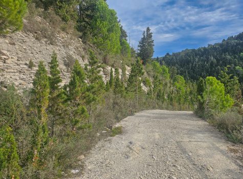 Around Lakka