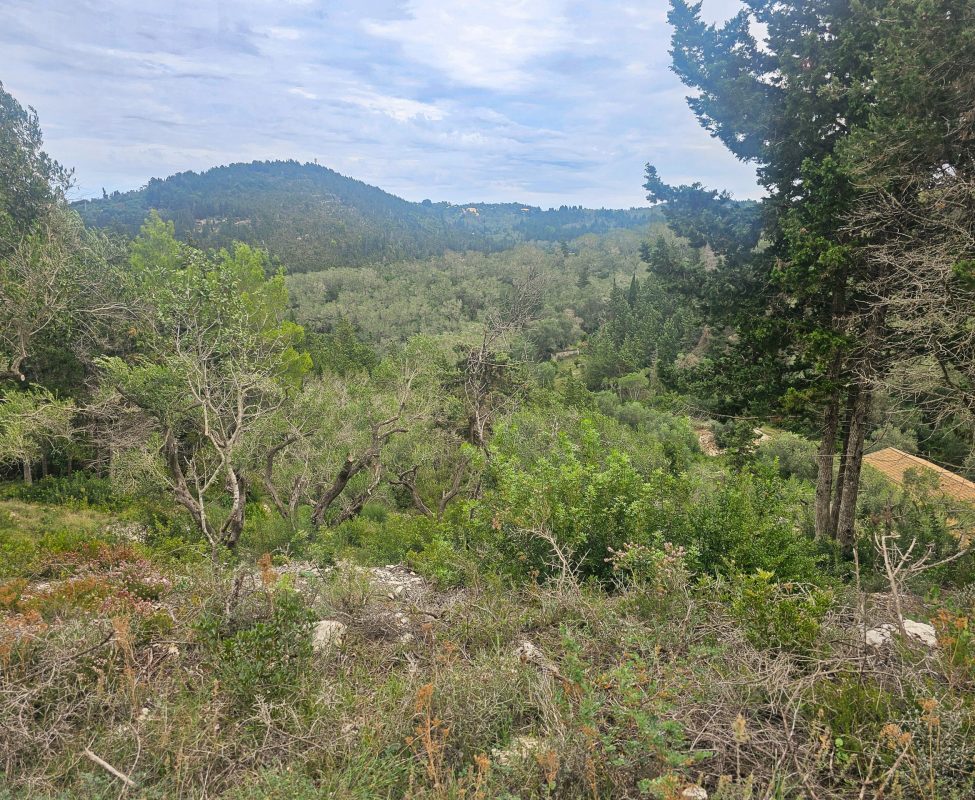 Above Lakka