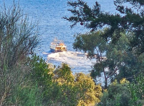 Antipaxos