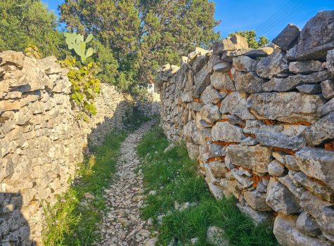 Antipaxos