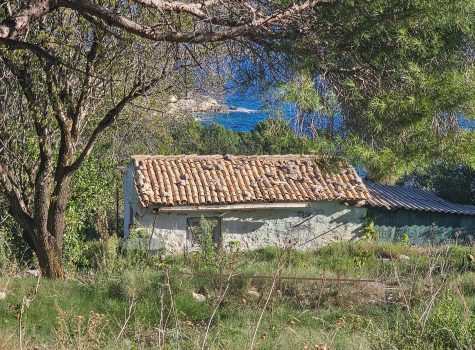 Antipaxos