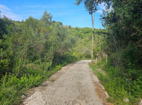 Antipaxos