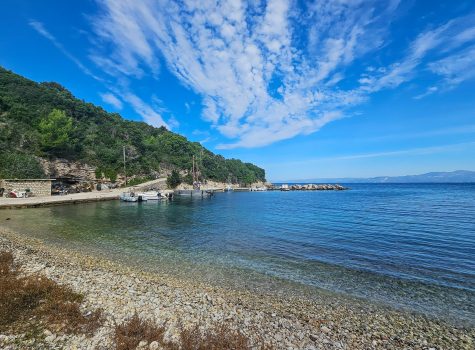 Antipaxos