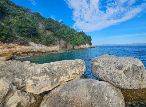 Antipaxos