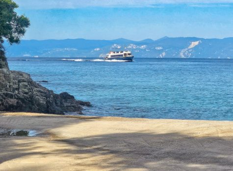 Antipaxos