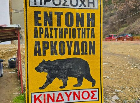 Warning Bears
