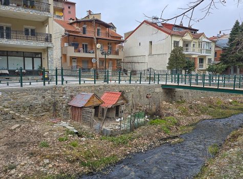 Florina