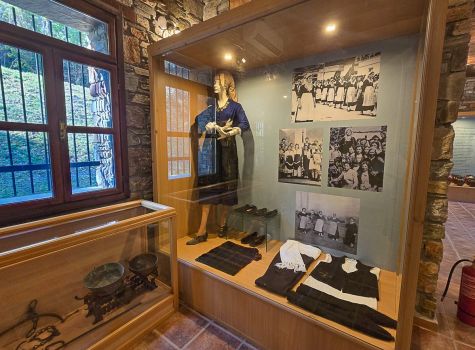 Pozar Folklore Museum