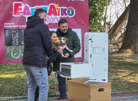 Edessa Dog Carnival