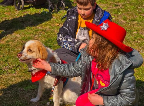 Edessa Dog Carnival