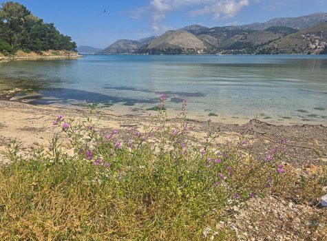 Walk to Argostoli Sinkholes