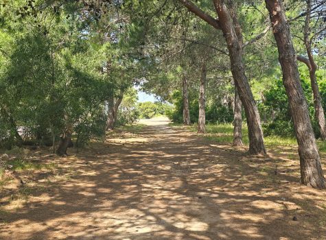 Walk to Argostoli Sinkholes
