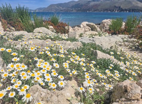 Agios Theodoros Lighthouse