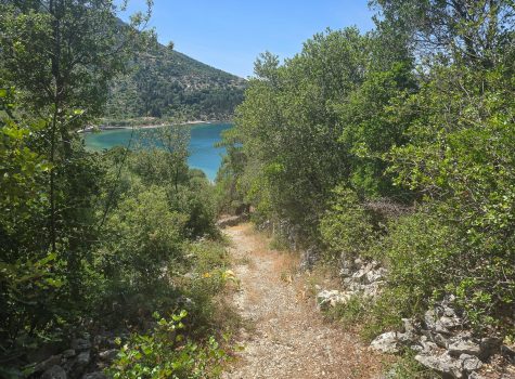 Path to Dexia Beach