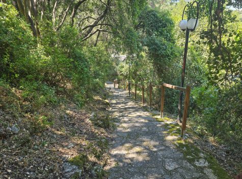 Walk to port and harbour