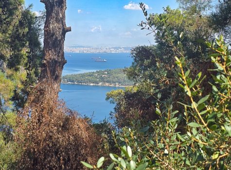 View from Monastery of St George