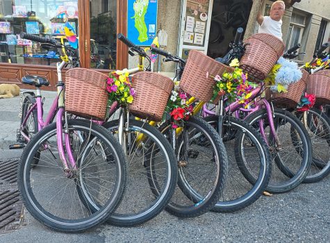 Bike hire