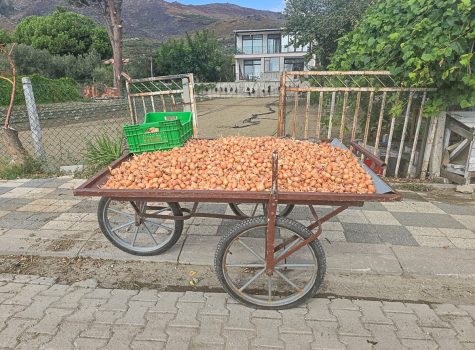 Roadside stall