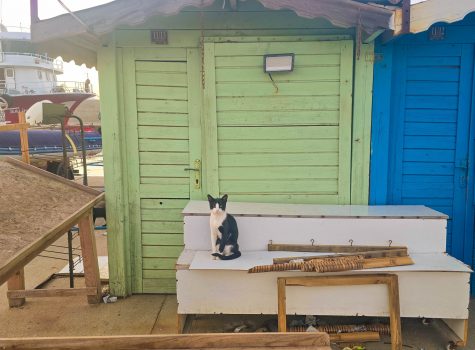 Kalekoy Harbour, Kalekoy Harbour, tourist shops, Gokceada