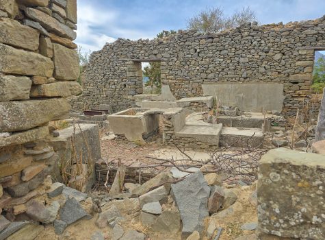 Ancient Plane Tree and Laundry in Eski Bademli Ancient Plane Tree and Laundry in Eski Bademli