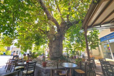 The village of Eresos The village of Eresos