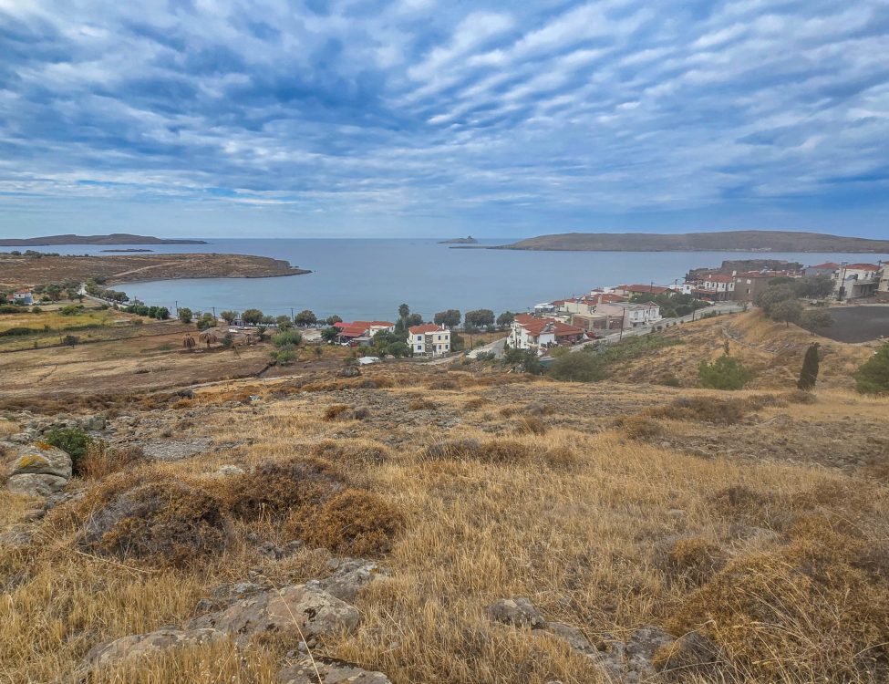 Petrified Forest Sigri Petrified Forest Sigri