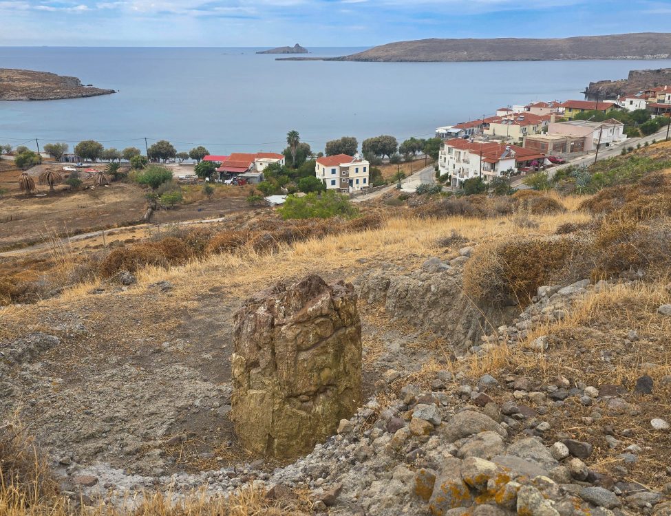 Natural History Museum of the Lesvos Petrified Forest Natural History Museum of the Lesvos Petrified Forest