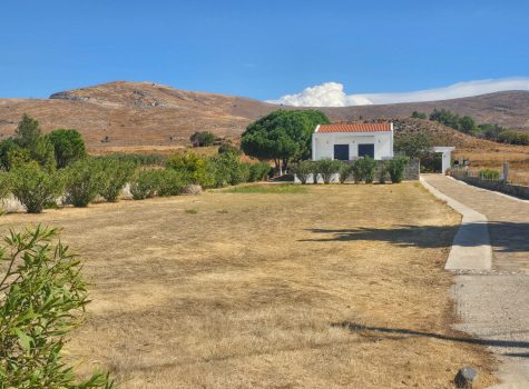 Sigri Coastal Walk Sigri Coastal Walk