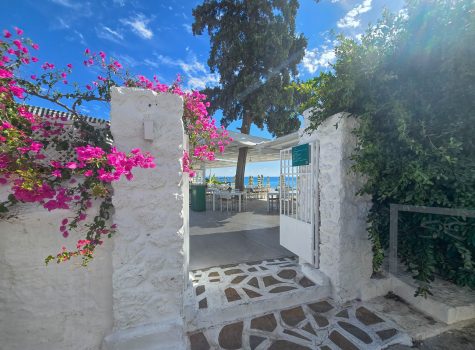 Agia Marina Beach and Paradise Beach Bar